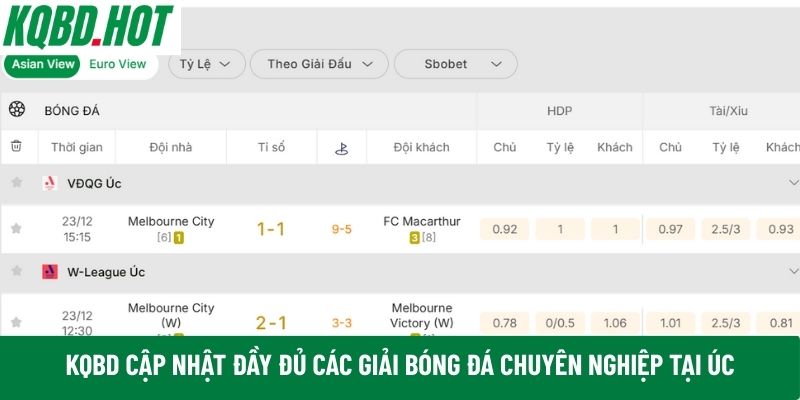 bóng đá chuyên nghiệp tại Úc